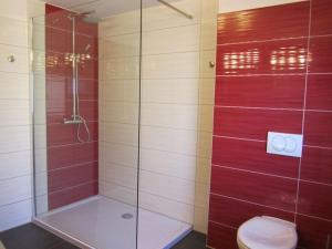 a shower with a toilet and a glass shower stall at Holiday apartment Heitmann in Hilders +13 photos