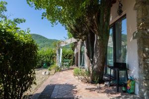 a house with a tree next to a walkway at Casa le Capanne in Greve in Chianti