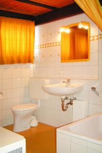 a bathroom with a toilet and a sink and a mirror at Holiday Village Vorauf Siegsdorf in Siegsdorf