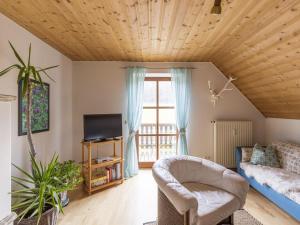 a living room with a couch and a tv at Alluring Apartment in Sch nsee in the forest in Schönsee