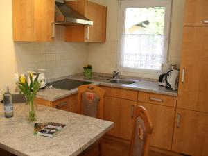 a kitchen with a sink and a counter top at Seepark Heidenholz Plau am See in Plau am See