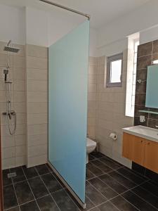 a bathroom with a shower and a sink and a toilet at Marel Apartments in Rethymno