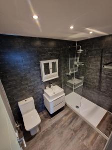 a bathroom with a toilet and a sink and a shower at Harlech House in Harlech