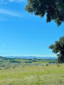 カルカソンヌにあるLa Belle Etape à Carcassonneの手前の草原