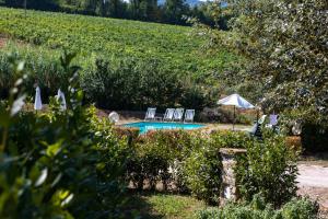 einen Pool mit 2 Stühlen und einem Sonnenschirm in der Unterkunft Casa le Capanne in Greve in Chianti