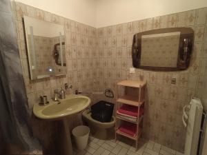 a bathroom with a sink and a toilet and a mirror at Gîte l' Odyssée in Espalion