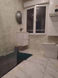 ルマンにあるT2 Tom Krist. / Circuit 24h / Oasis /Antaresのトイレ、洗面台、窓のあるバスルーム