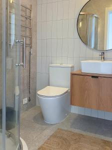 uma casa de banho com um WC, um lavatório e um espelho. em Island House atostogų namai em Gaylyunay