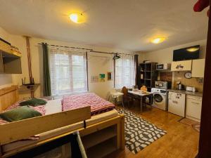 Kuchyň nebo kuchyňský kout v ubytování Apartmány Srub Jenišov