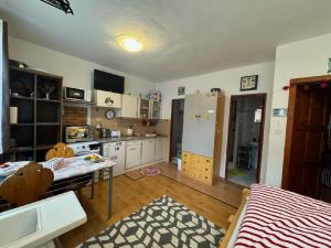 Kuchyň nebo kuchyňský kout v ubytování Apartmány Srub Jenišov