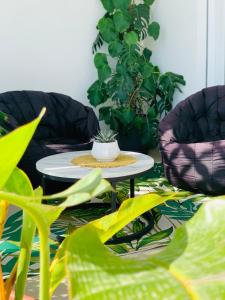 een kamer met 2 stoelen en een tafel en planten bij DaLù suite terrace in Bari