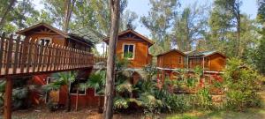 a tree house in the woods with a balcony at The Jungle Resort Amba in Chandoli