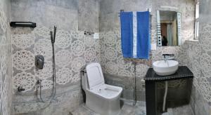 a bathroom with a toilet and a sink at Queens Lakehouse in Srinagar