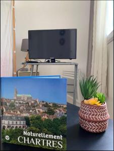 ein Bild eines Fernsehers und einer Vase mit einer Pflanze in der Unterkunft Studio Rdc Chartres gare et Colisée a 100m in Chartres