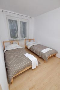 two beds sitting next to each other in a room at Apartament Słoneczny 3 in Opole