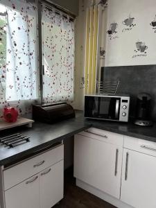 eine Küche mit weißen Schränken und einer Mikrowelle in der Unterkunft F2 bord d’allier avec jardin clos in Moulins