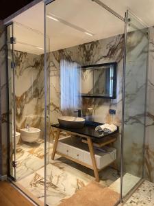 La salle de bains est pourvue d'une douche en verre et d'un lavabo. dans l'établissement Agroturizem Eldi, à Fier