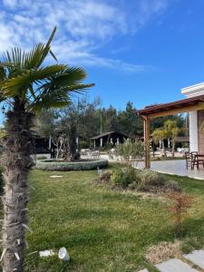 un palmier dans une cour à côté d'un bâtiment dans l'établissement Agroturizem Eldi, à Fier