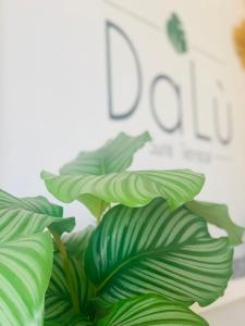 een groene plant met een bord op de achtergrond bij DaLù suite terrace in Bari