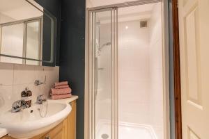 a bathroom with a shower and a sink and a toilet at The Linhay at Hewish Mill in Barnstaple