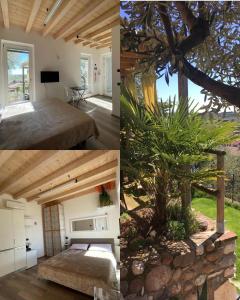 - deux photos d'une chambre avec un lit et un arbre dans l'établissement Garden Room, à Cavaion Veronese