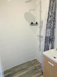 een badkamer met een douche en een douchegordijn bij Maison 10 couchages in Romorantin