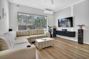 a living room with a couch and a flat screen tv at Stylish, Sunny & Spacious 2 Bedroom Apartment, Mosman in Sydney