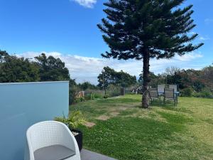 a patio with two chairs and a tree at Discovery 1 in Santa Cruz