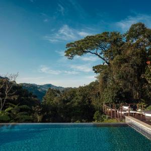 a swimming pool with a view of the forest and mountains at One&Only Nyungwe House in Rwumba