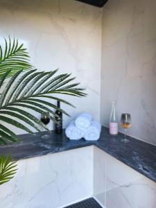 a bathroom counter with a plant and a glass of wine at Casa Estrela in Alvaiázere