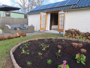 un jardin en face d'une maison dans l'établissement Tiny Botanic House, à Tzummarum