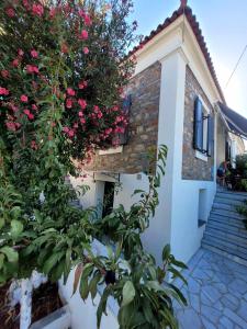 budynek z krzakiem z różowymi kwiatami w obiekcie Danai Traditional Apartment w mieście Samos