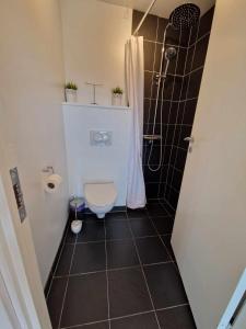 a small bathroom with a toilet and a shower at Lækker lejlighed in Copenhagen