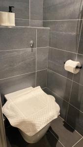 baño con aseo y dispensador de papel higiénico en nana house, en Londres