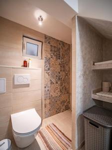 a bathroom with a toilet and a tv on the wall at Šišnikova hiša in Ilirska Bistrica