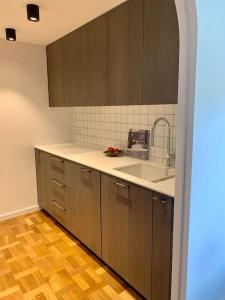 uma cozinha com armários cinzentos e um lavatório em New appartment with art collection em Vilnius