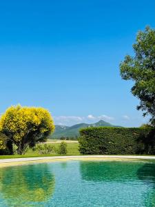 una piscina de agua con árboles y montañas al fondo en Mas de JANNE, en Cléon-dʼAndran