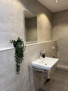 a bathroom with a sink and a mirror and a plant at Apartment 170 in Bad Münstereifel