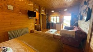 a living room with a bed and a couch at Blossom Cabin - Little log Cabin in Wales in Newtown