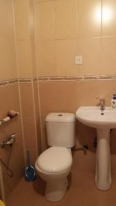 バクーにある2-ух комнатная квартираのバスルーム(トイレ、洗面台付)