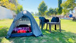 Фотография из галереи Lazy staytion в Пушкаре