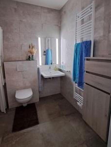 bagno con servizi igienici, lavandino e specchio di Waldviertler Wohlfühleck 
