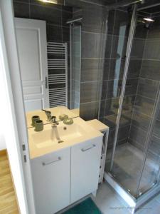 uma casa de banho com um lavatório e um chuveiro em Vue mer Sables d'Or em Frehel