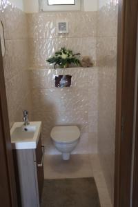 un baño con inodoro y lavabo en Tündérkert Villa, en Balatonfőkajár