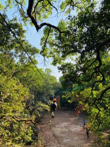 入住The Byke Brightland Adventure Park & Resort的客人