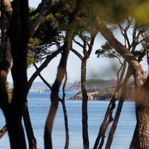 伊埃爾的住宿－Le Domaine de la mer - Beach hotel Nature&Authenticité Hyères，透过水的树木