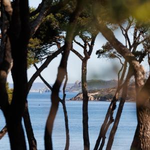 Le Domaine de la mer - Beach hotel Nature&Authenticité Hyères في هييريس: منظر من خلال الأشجار للمياه