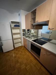 una cucina con lavandino e frigorifero di Apartment with Big Balcony and Parking Garage a Lubiana