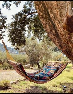 una hamaca colgando de un árbol en un campo en Villa in campagna con piscina, en San Fratello