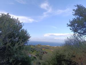 a view of the ocean from a hill with trees at Altheas Maisonettes in Xylokastron